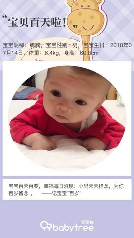 journal_insert_pic_1115701799