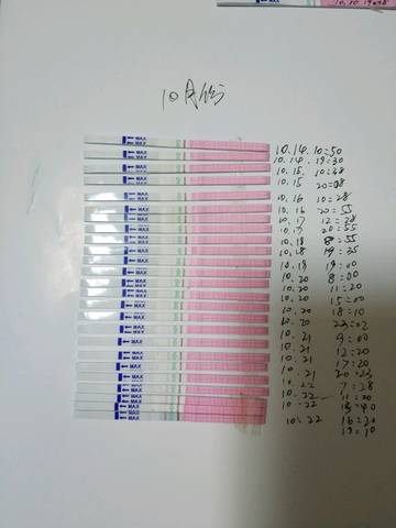 journal_insert_pic_1116521697