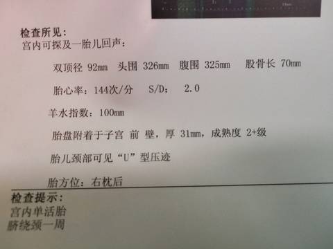 journal_insert_pic_1116343663