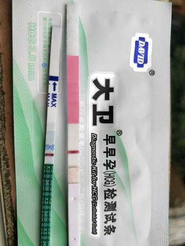 journal_insert_pic_1117172313