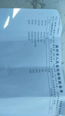 journal_insert_pic_1117357419