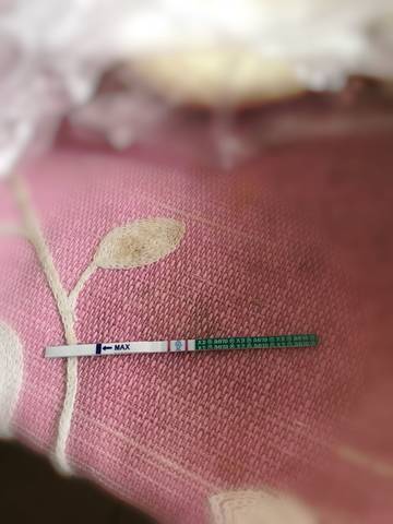 journal_insert_pic_1117435725