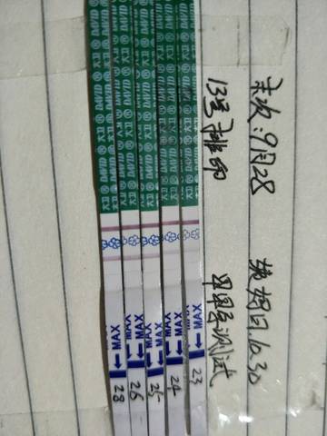 journal_insert_pic_1120133849