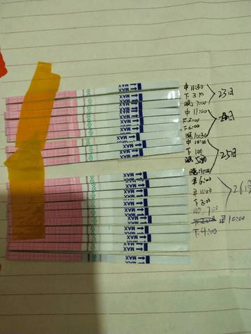 journal_insert_pic_1119908989