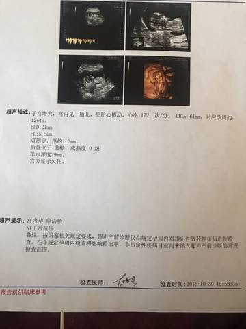 journal_insert_pic_1121153855