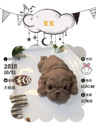 journal_insert_pic_1121617704