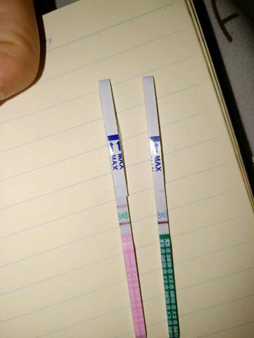 journal_insert_pic_1122908338