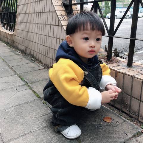 journal_insert_pic_1123183973