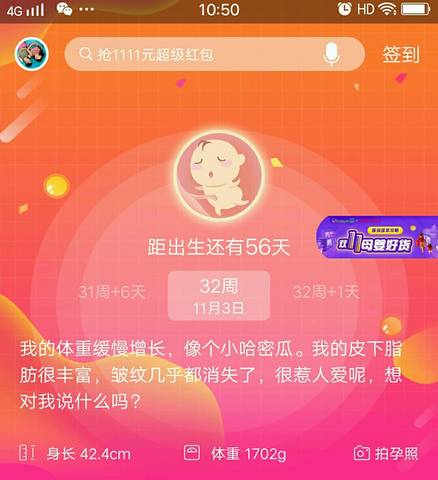 journal_insert_pic_1123072533