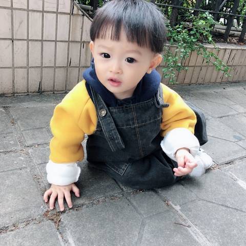 journal_insert_pic_1123184012