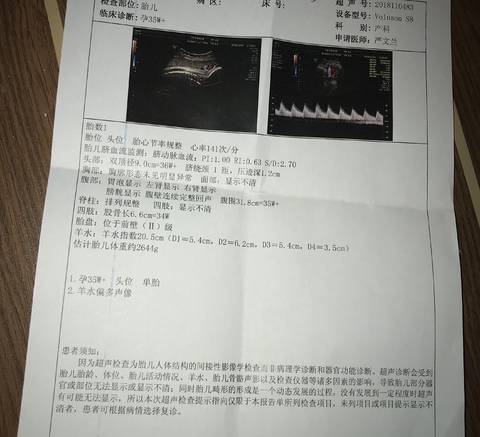 journal_insert_pic_1124265962