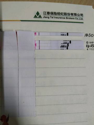 journal_insert_pic_1124674096