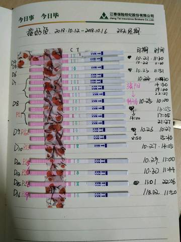 journal_insert_pic_1124674064