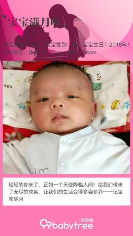 journal_insert_pic_1125521662