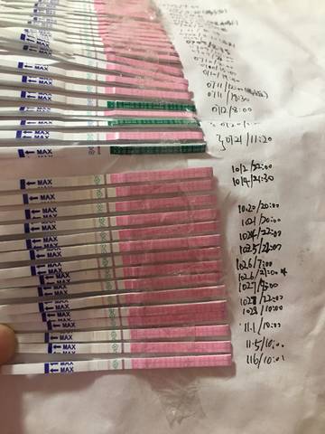 journal_insert_pic_1125490770