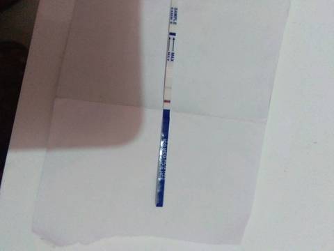 journal_insert_pic_1125013975