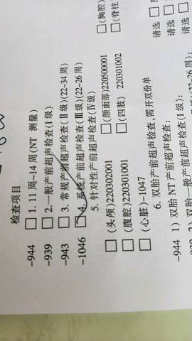 journal_insert_pic_1125847516