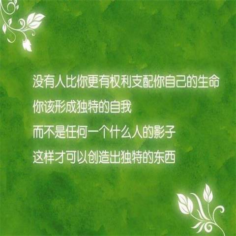 journal_insert_pic_1125631594