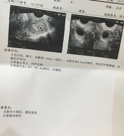 journal_insert_pic_1125771851