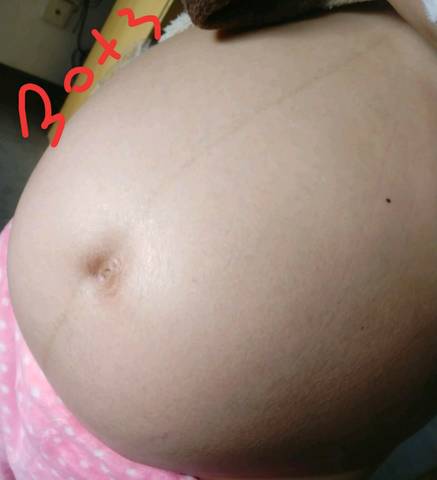 journal_insert_pic_1126682335