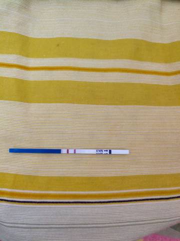 journal_insert_pic_1128032478