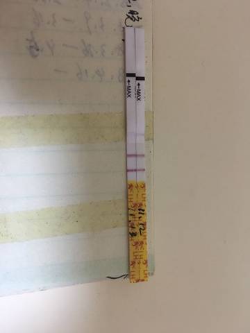 journal_insert_pic_1129178890