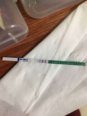 journal_insert_pic_1129204780