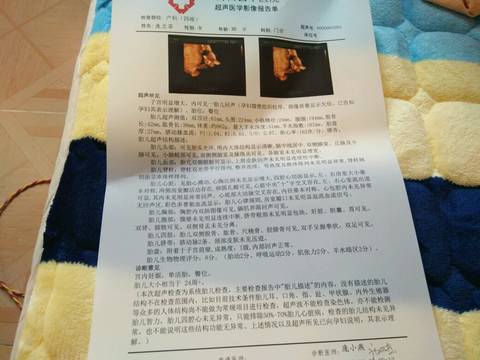 journal_insert_pic_1128901523