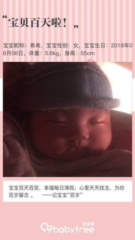 journal_insert_pic_1129332370