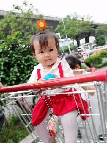 journal_insert_pic_1129329623