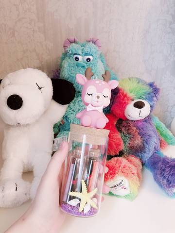 journal_insert_pic_1129671512