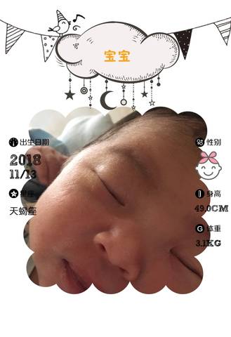 journal_insert_pic_1129864778