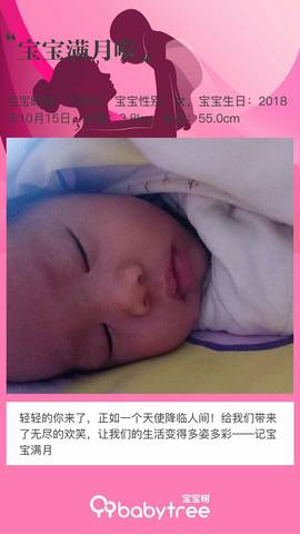 journal_insert_pic_1129452411