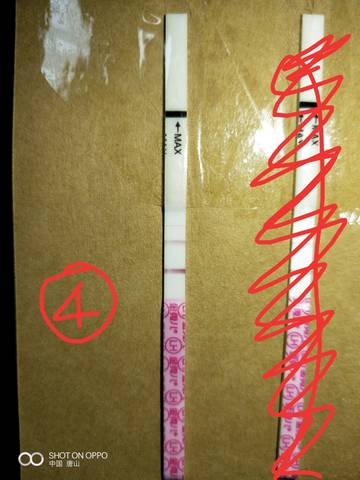 journal_insert_pic_1129890504