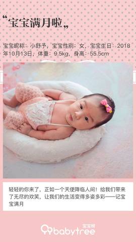 journal_insert_pic_1130318575