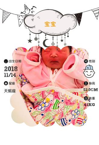 journal_insert_pic_1130045521