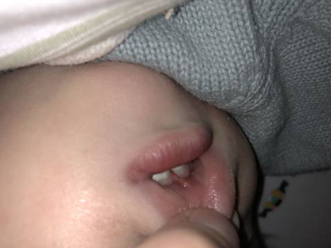 journal_insert_pic_1130161814