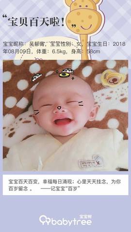 journal_insert_pic_1130972102