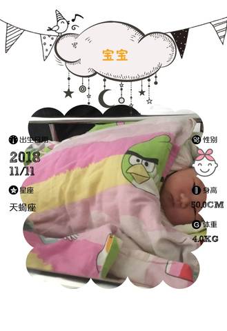 journal_insert_pic_1130654786