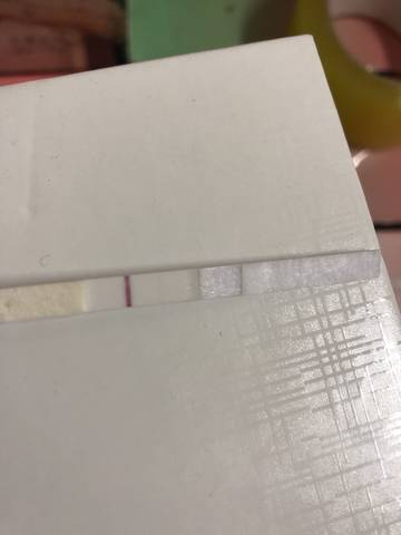 journal_insert_pic_1130762451