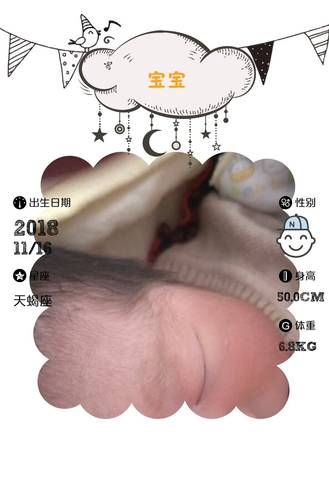 journal_insert_pic_1130993691
