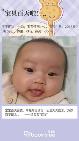 journal_insert_pic_1130973380