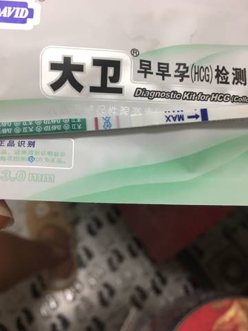journal_insert_pic_1131224275