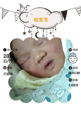 journal_insert_pic_1131232433