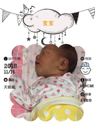 journal_insert_pic_1131609662