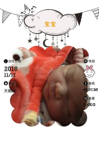 journal_insert_pic_1131820955