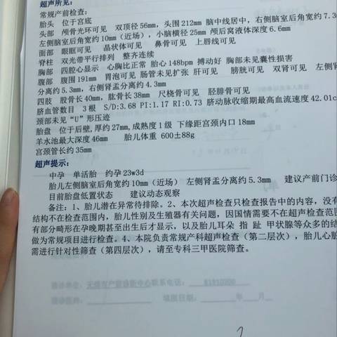 journal_insert_pic_1132624780