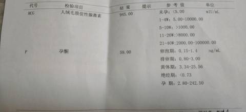journal_insert_pic_1132508350