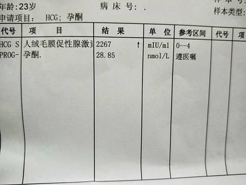 journal_insert_pic_1133682996