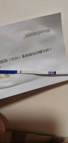 journal_insert_pic_1134374695